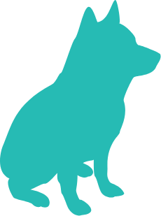 犬